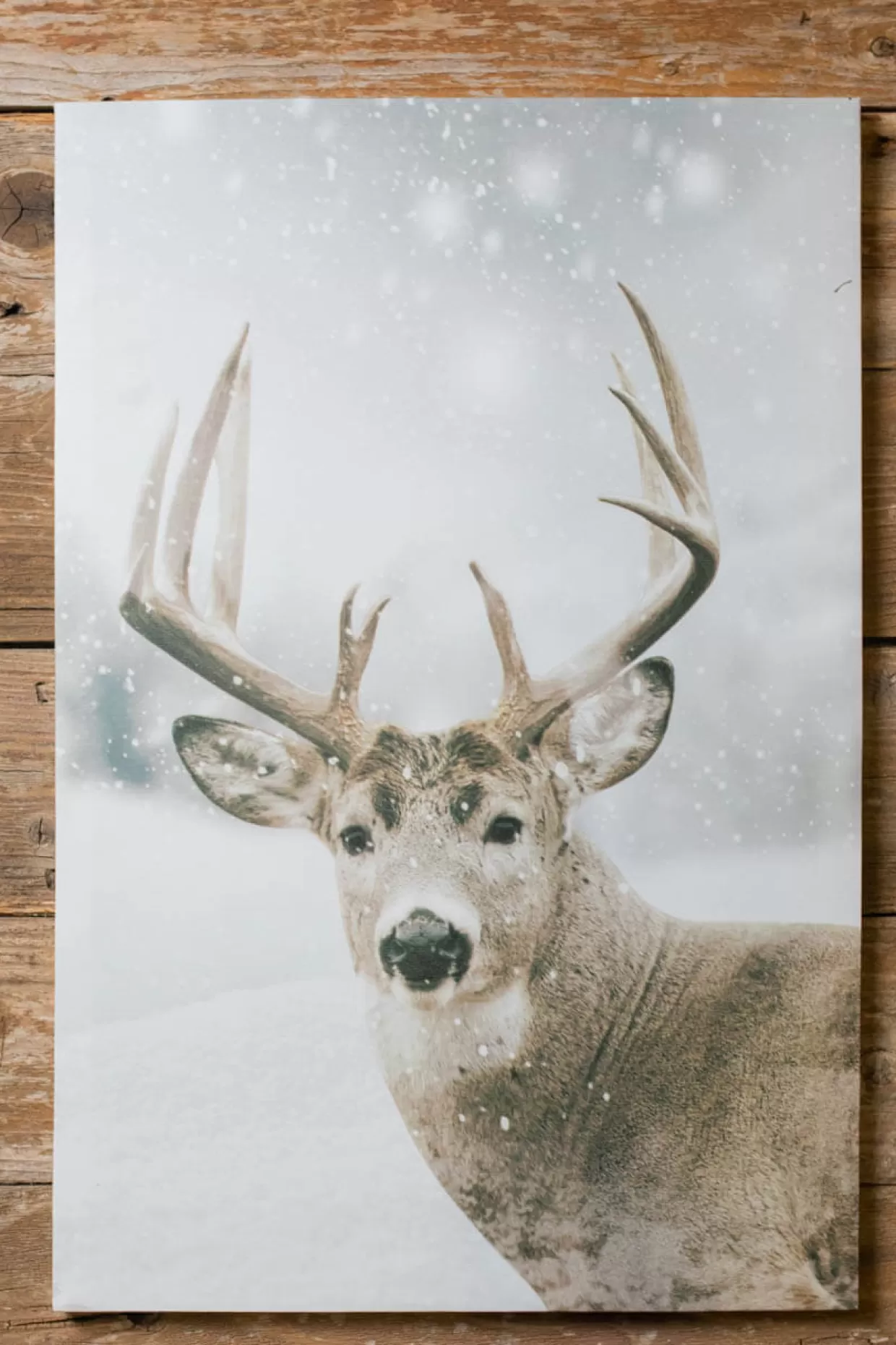 Decorator's Warehouse 16 X 24” Buck Deer In Snowy Field Print