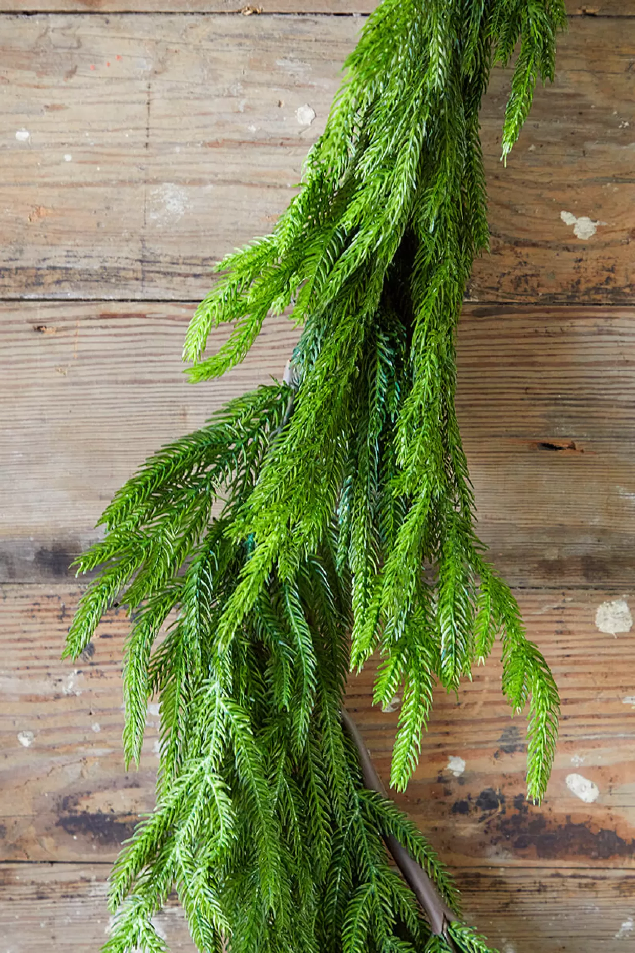 Decorator's Warehouse 192” Real Touch Norfolk Pine Garland