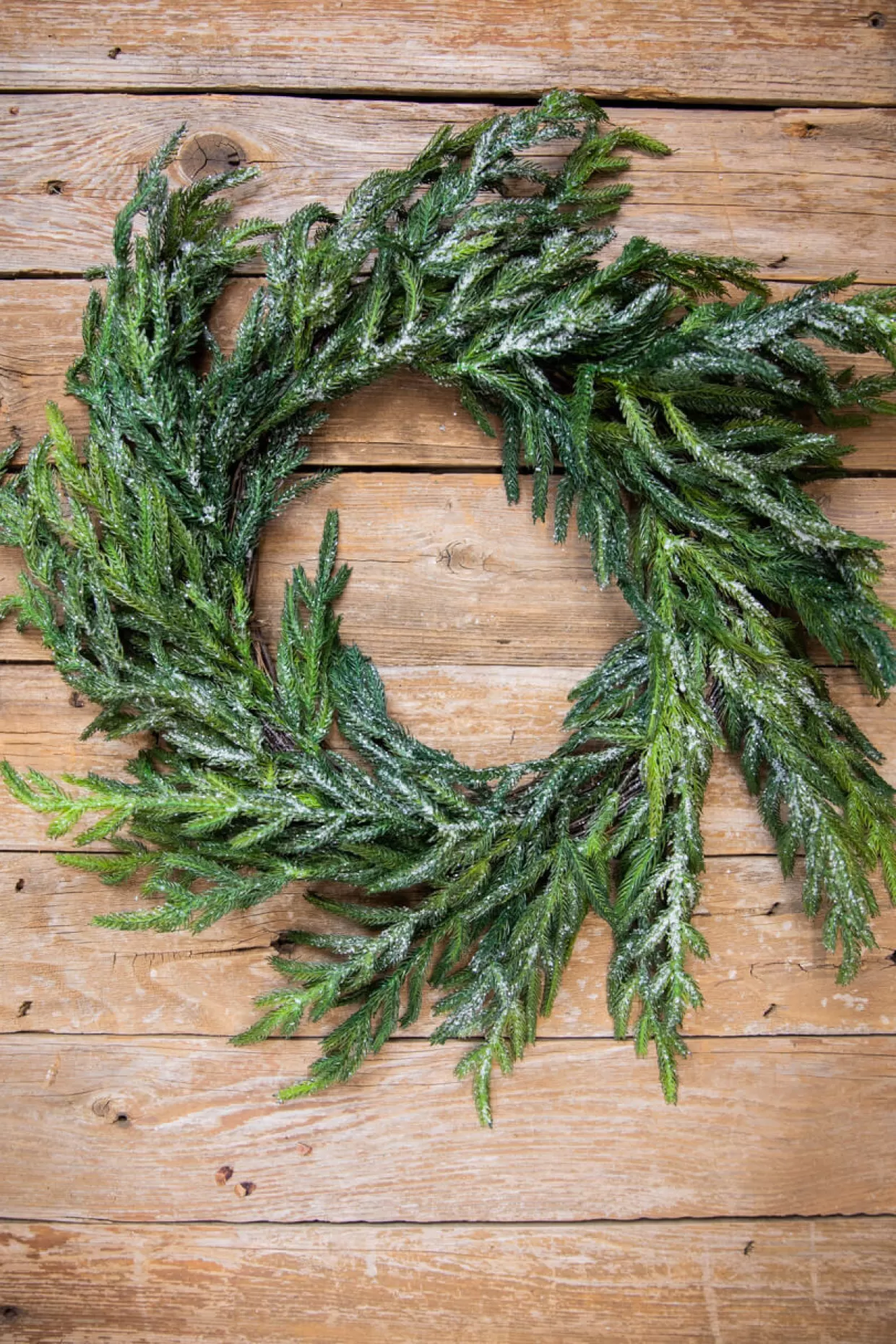 Decorator's Warehouse 24” Iced Garden Norfolk Pine Wreath