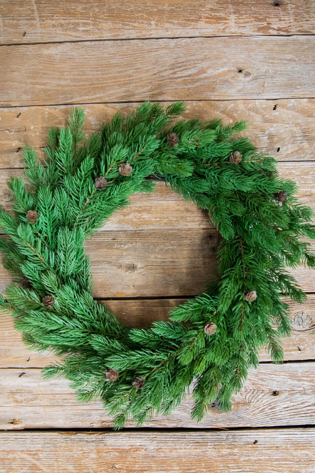Decorator's Warehouse 24” Just Cut Spruce Wreath