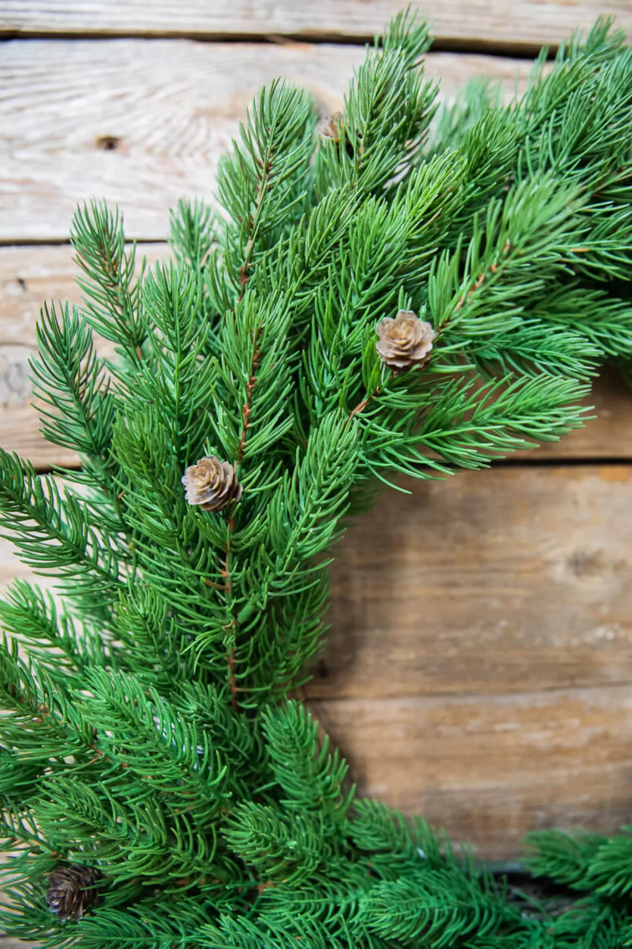 Decorator's Warehouse 24” Just Cut Spruce Wreath