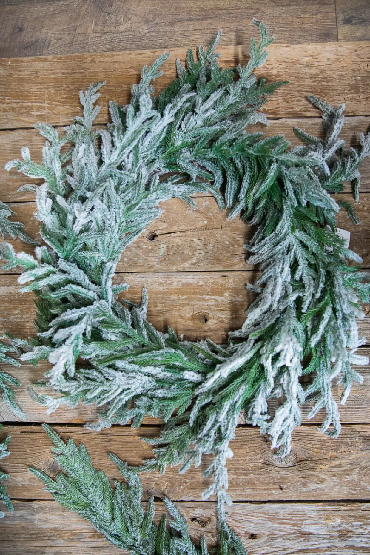 Decorator's Warehouse 24” Real Touch Flocked Norfolk Wreath