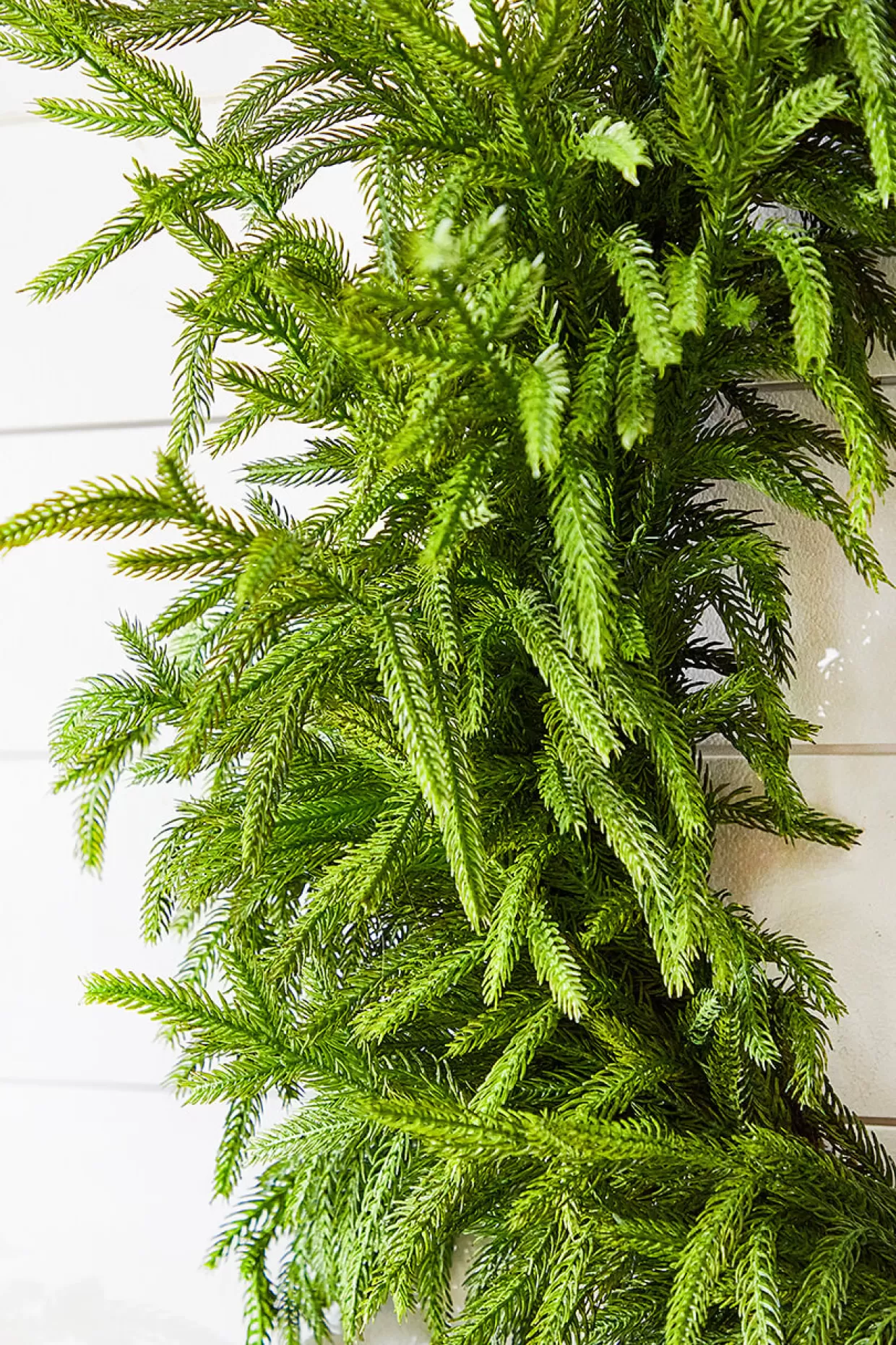 Decorator's Warehouse 30" Just Cut Real Touch Norfolk Pine Wreath