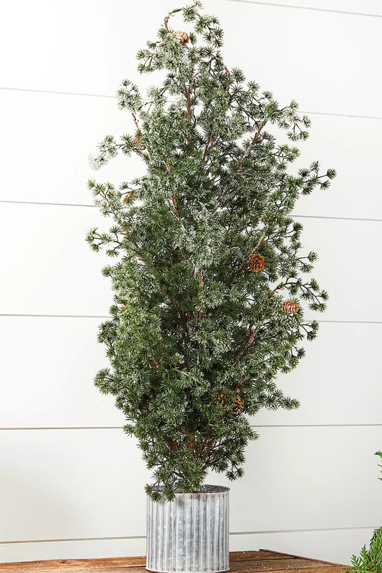 Decorator's Warehouse 36” Frosted Potted Pine