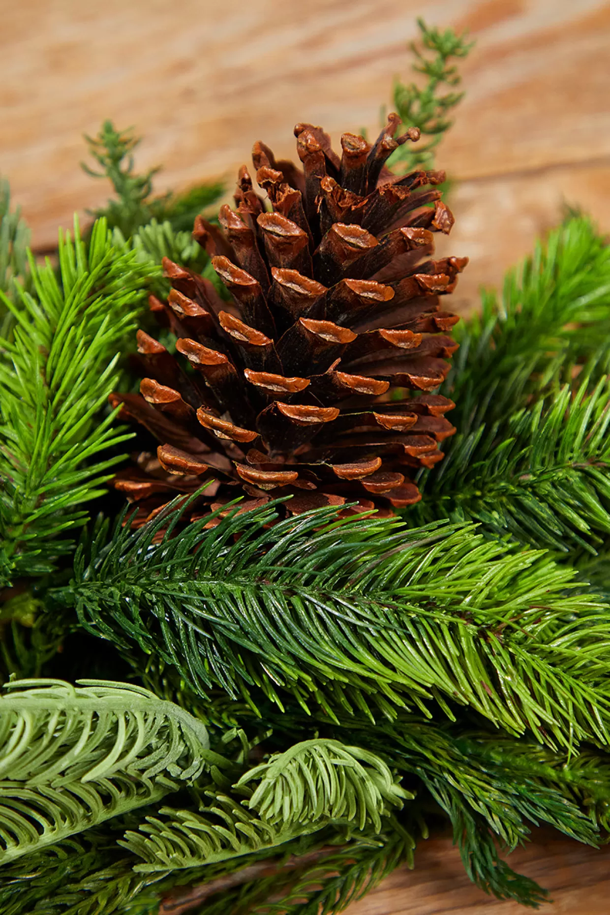 Decorator's Warehouse 42” Real Touch Norfolk / Spruce / Juniper Swag