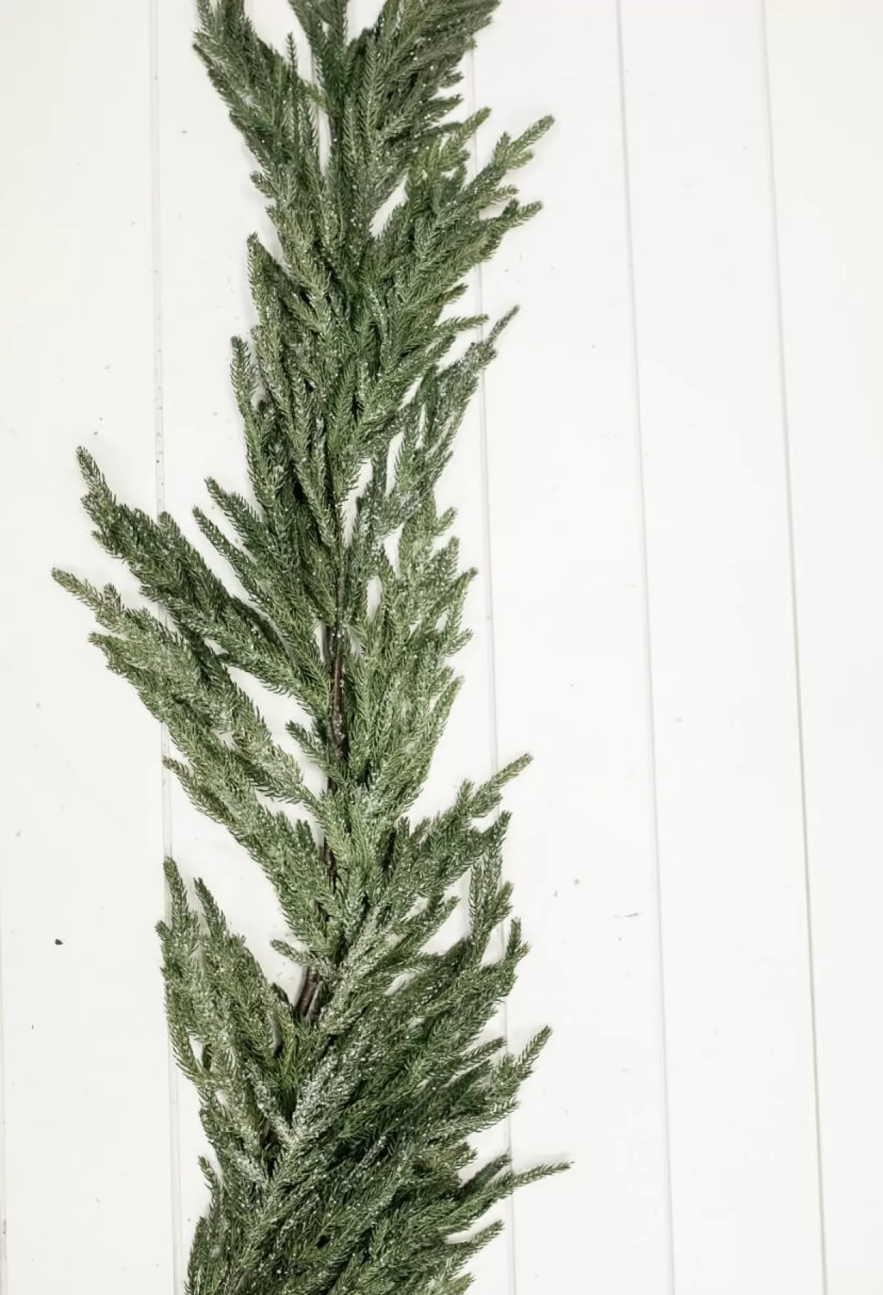 Decorator's Warehouse 48” Iced Garden Norfolk Pine Garland