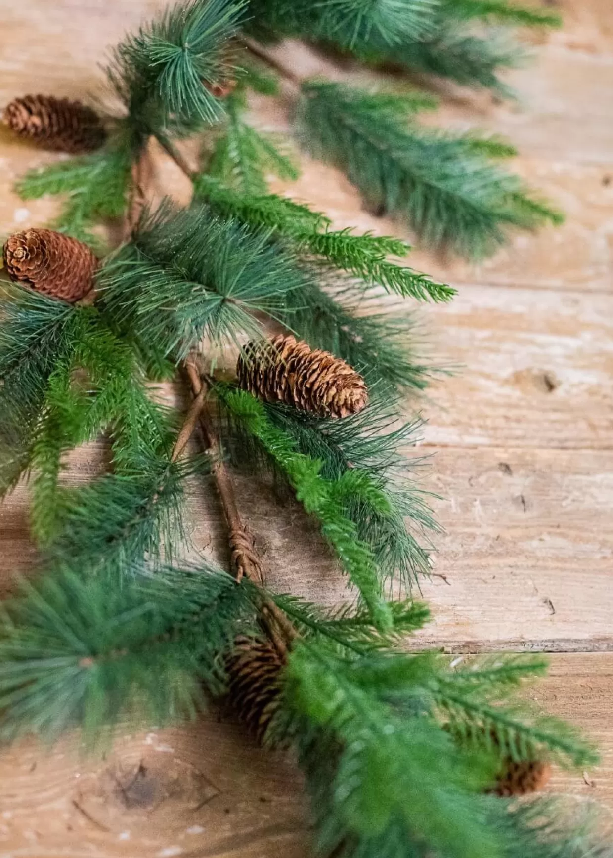 Decorator's Warehouse 5’ Woodland Mix Pine Cone Garland